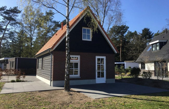 Casa de 3 quartos em Lochem com piscina e terraço - Foto 1