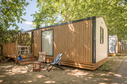 Foto 10 - Casa con 2 camere da letto a Argelès-sur-Mer con piscina e giardino