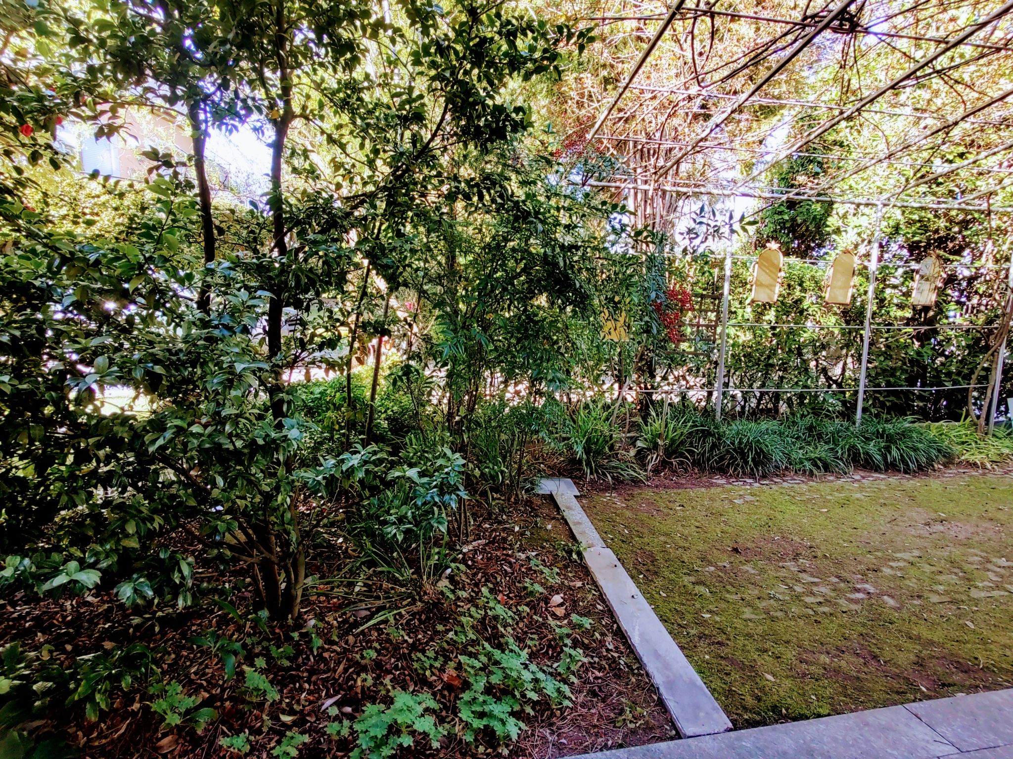 Photo 27 - Maison de 1 chambre à Invorio avec jardin et vues sur la montagne