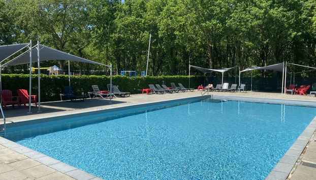 Haus mit 3 Schlafzimmern in Udenhout mit schwimmbad und garten - Foto 5