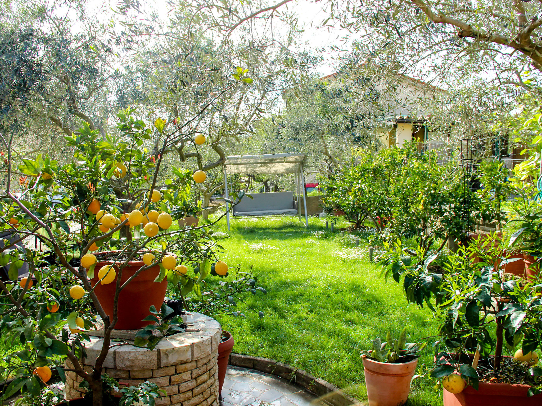 Photo 16 - Appartement de 1 chambre à Piran avec jardin et terrasse