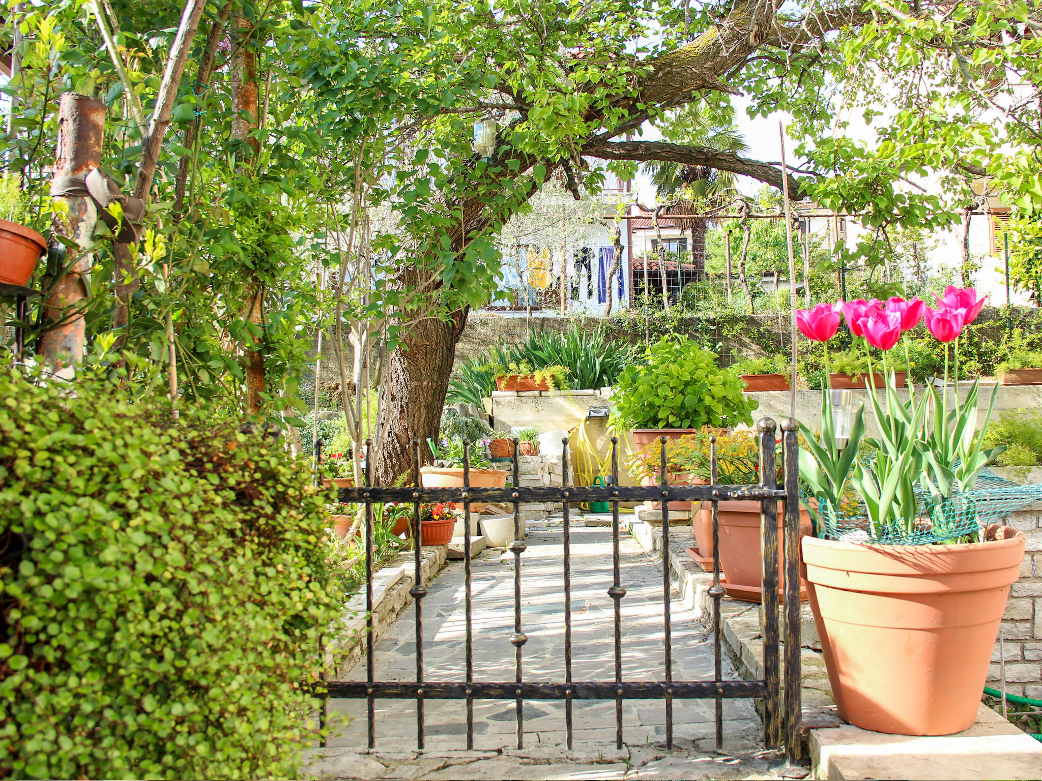 Photo 14 - Appartement de 1 chambre à Piran avec jardin et terrasse