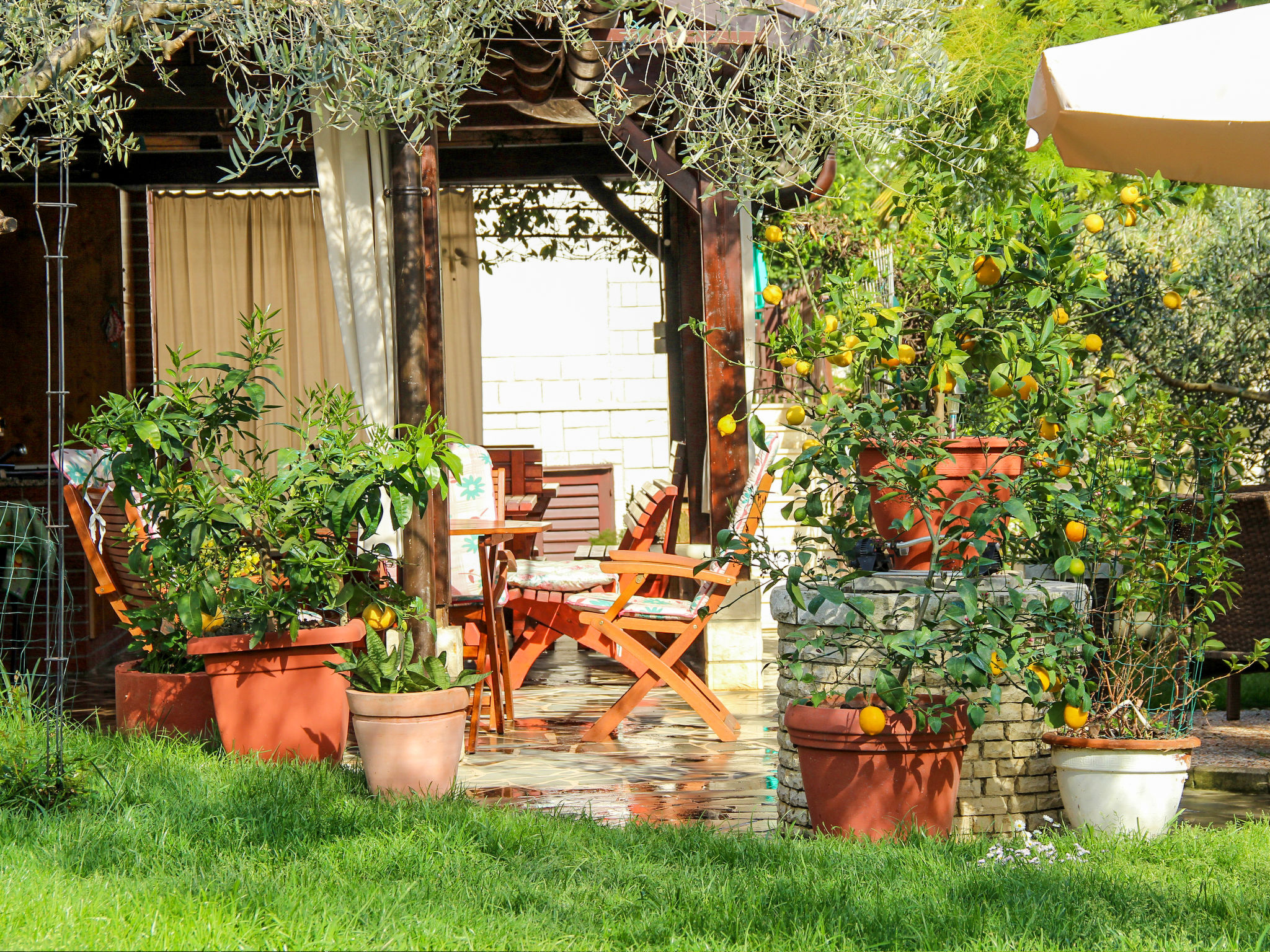 Photo 13 - Apartment in Piran with garden