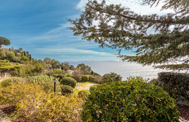 Les Floralies II - Foto 17