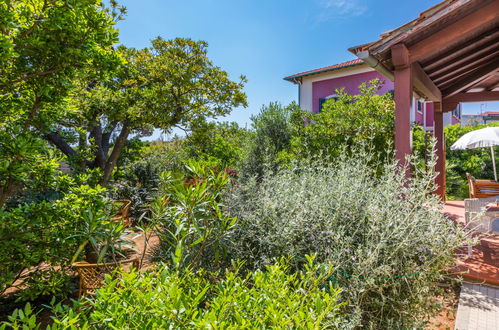 Photo 26 - Maison de 2 chambres à Rosignano Marittimo avec jardin et terrasse