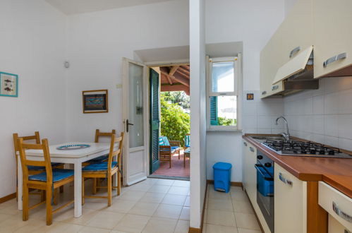 Photo 9 - Maison de 2 chambres à Rosignano Marittimo avec jardin et terrasse