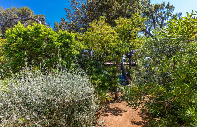 Casa de 3 quartos em Rosignano Marittimo com jardim e terraço - Foto 27