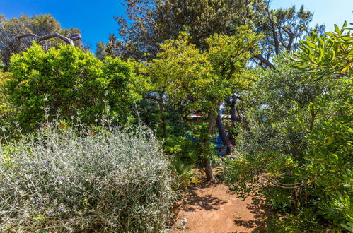 Photo 27 - Maison de 2 chambres à Rosignano Marittimo avec jardin et vues à la mer