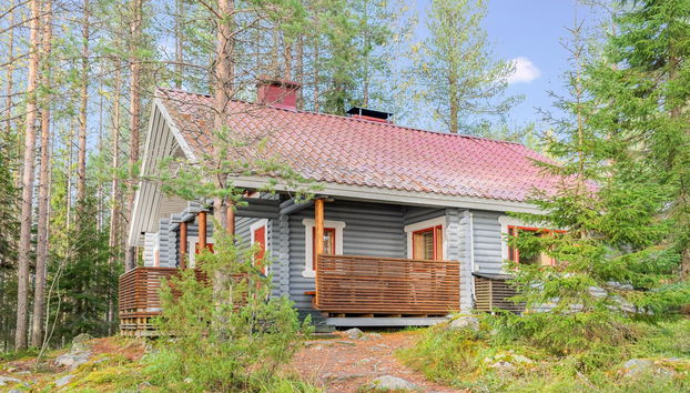 Haus mit 1 Schlafzimmer in Juuka mit sauna - Foto 2