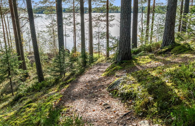 Haus mit 1 Schlafzimmer in Juuka mit sauna - Foto 22