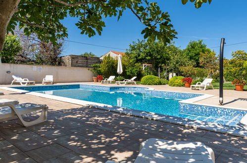 Foto 4 - Appartamento a Privlaka con piscina e giardino