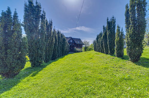 Foto 57 - Haus mit 5 Schlafzimmern in Pilica mit schwimmbad und garten