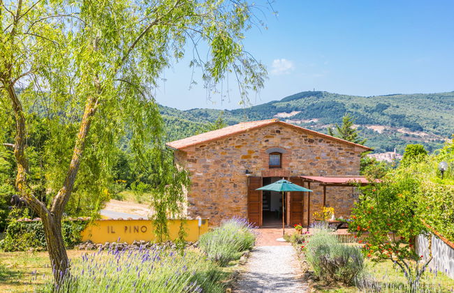Apartment in Castelnuovo di Val di Cecina with swimming pool and garden - Photo 33