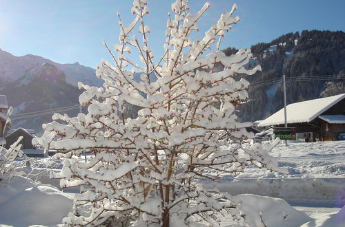 Foto 9 - Appartamento con 1 camera da letto a Lenk con giardino