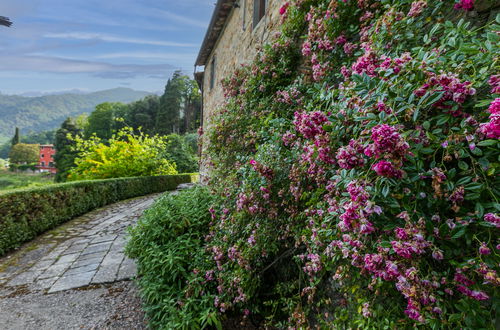 Photo 25 - 2 bedroom Apartment in Pescia with swimming pool and garden