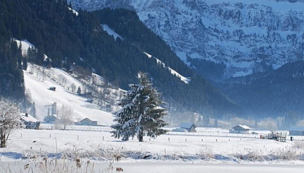 Apartamento de 1 quarto em Lenk - Foto 3
