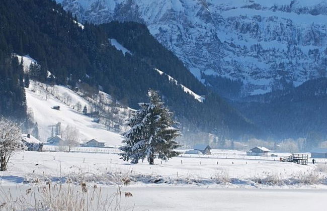Apartamento de 2 quartos em Lenk - Foto 7
