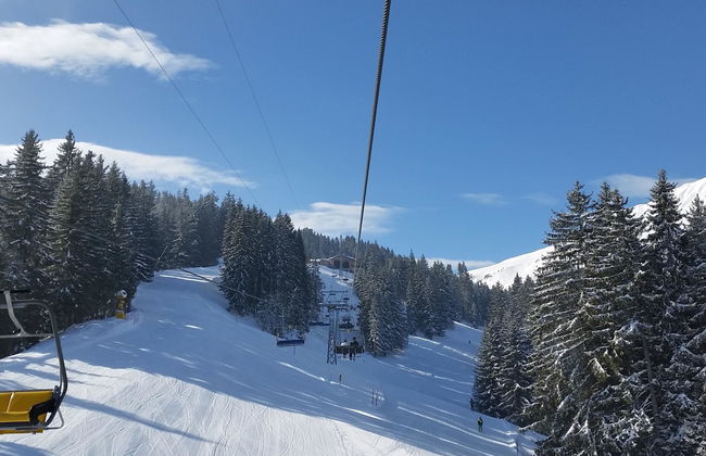 Apartamento de 2 quartos em Lenk - Foto 8