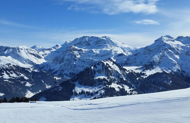 Apartamento de 2 quartos em Lenk - Foto 9