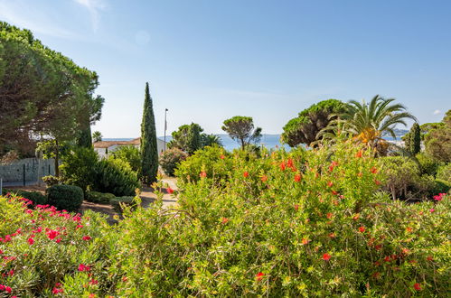 Photo 13 - Appartement de 1 chambre à Roquebrune-sur-Argens avec piscine et jardin