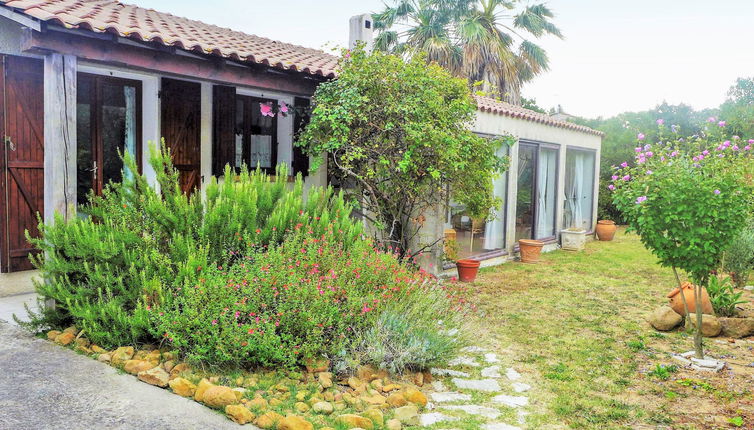 Foto 1 - Casa con 2 camere da letto a Salles-d'Aude con giardino e terrazza