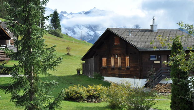 3 bedroom Apartment in Lenk - Photo 3