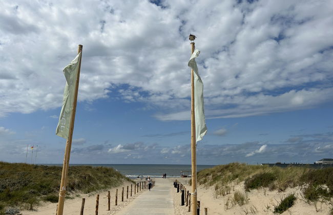 Casa de 4 quartos em Noordwijk com jardim e terraço - Foto 14