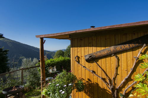 Photo 28 - Maison de 2 chambres à Dicomano avec piscine privée et jardin