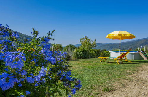 Foto 9 - Casa con 2 camere da letto a Dicomano con piscina privata e giardino