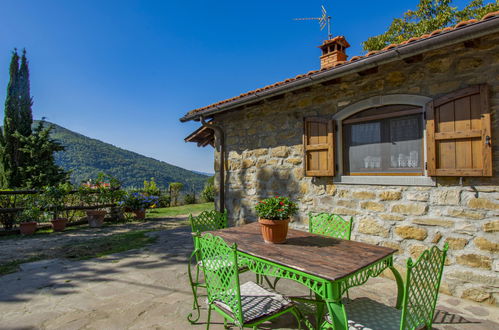 Photo 32 - Maison de 2 chambres à Dicomano avec piscine privée et jardin