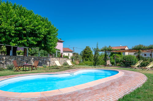 Photo 33 - 8 bedroom House in Cassine with private pool and garden