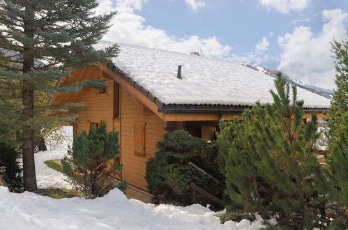 Foto 31 - Casa de 3 quartos em Nendaz com jardim e vista para a montanha