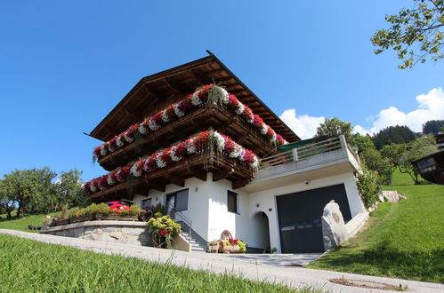 Foto 51 - Appartamento con 2 camere da letto a Aschau im Zillertal con giardino e vista sulle montagne