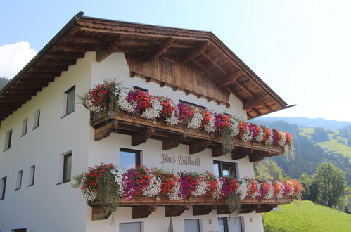 Foto 50 - Appartamento con 2 camere da letto a Aschau im Zillertal con giardino