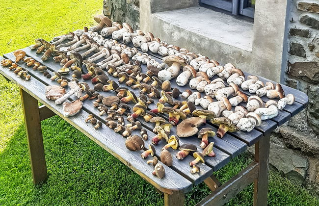 Haus mit 1 Schlafzimmer in Ruprechtov mit garten - Foto 14