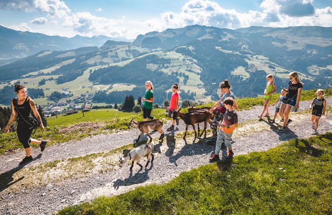 Apartamento de 3 quartos em Kirchberg in Tirol com jardim - Foto 22