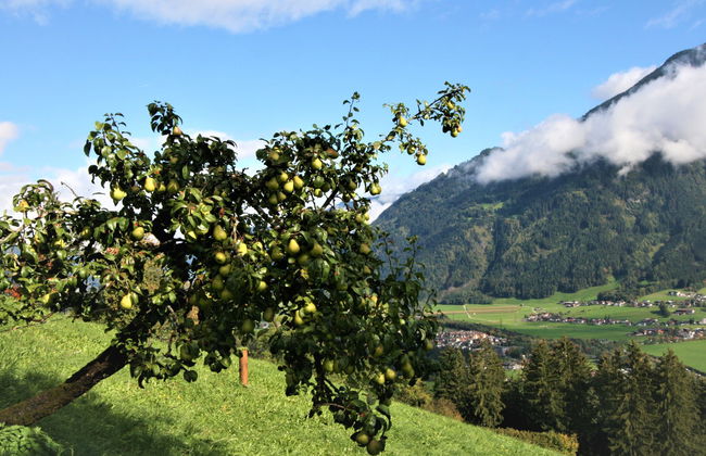 Appartamento con 4 camere da letto a Kaltenbach con giardino - Foto 7