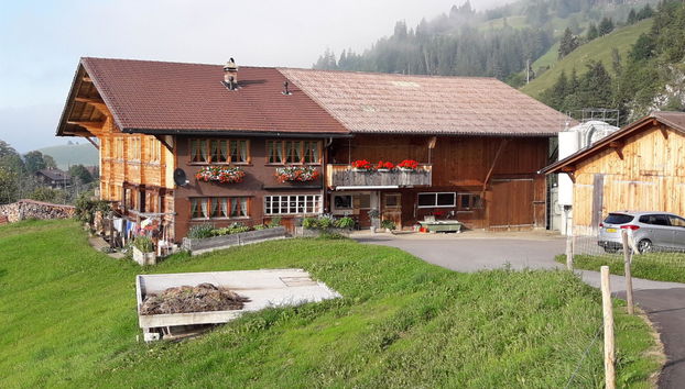 4 bedroom Apartment in Frutigen - Photo 3
