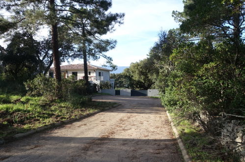 Photo 14 - Appartement de 2 chambres à Porto-Vecchio avec jardin