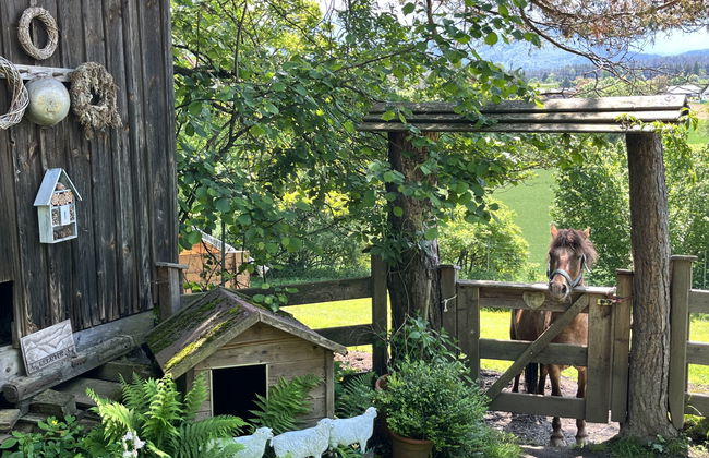 Casa de 2 quartos em Velden am Wörther See com jardim e terraço - Foto 7