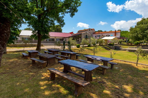 Photo 38 - Maison de 3 chambres à Kršan avec piscine et jardin