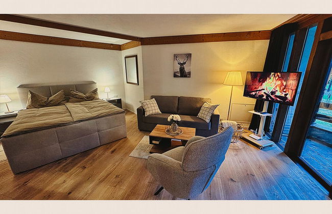 Apartamento de 1 quarto em Engelberg com piscina e sauna - Foto 5