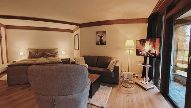 Apartamento de 1 quarto em Engelberg com piscina e sauna - Foto 4