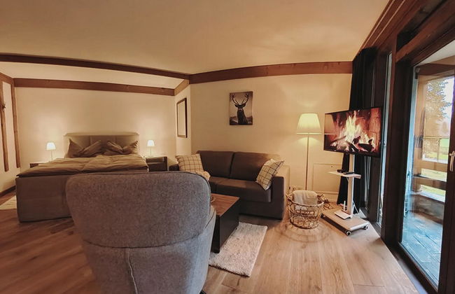 Apartamento de 1 quarto em Engelberg com piscina e sauna - Foto 4
