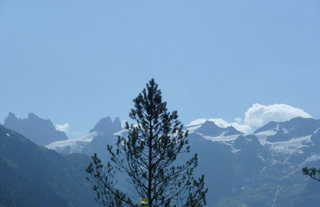 Apartamento de 1 quarto em Engelberg com piscina e sauna - Foto 18