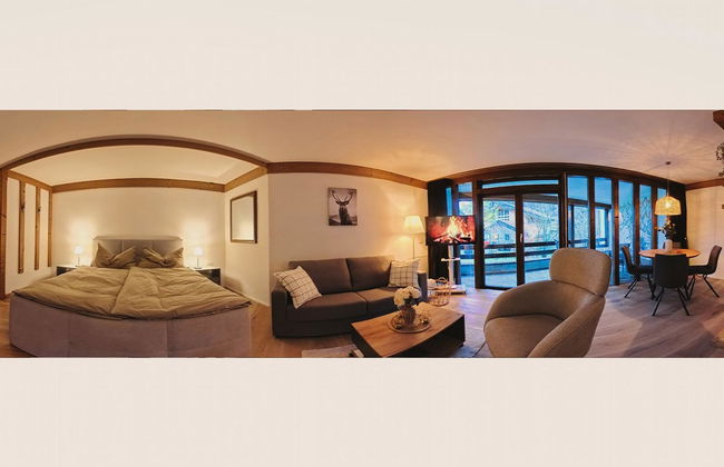 Apartamento de 1 quarto em Engelberg com piscina e sauna - Foto 6