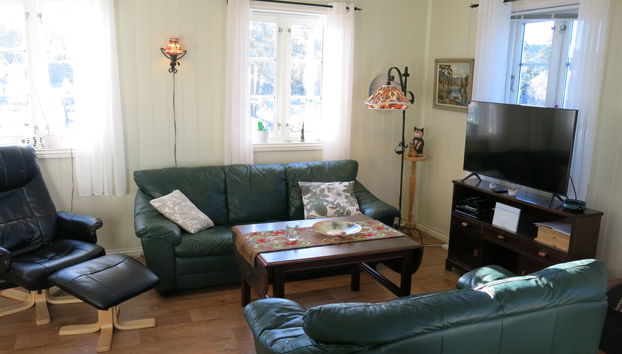 Haus mit 4 Schlafzimmern in Sør-Audnedal mit terrasse - Foto 3