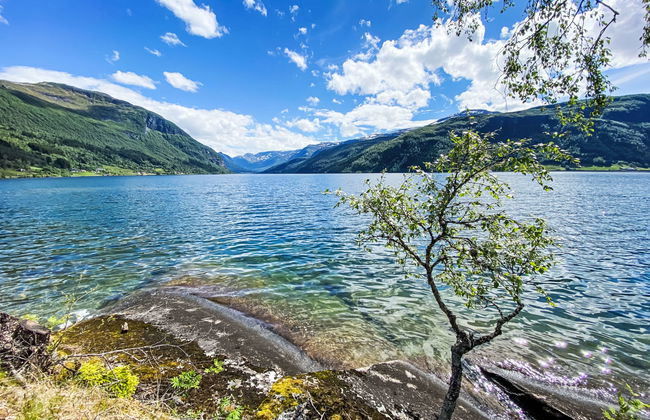 Casa de 2 quartos em Sande i Sunnfjord com jardim e terraço - Foto 27