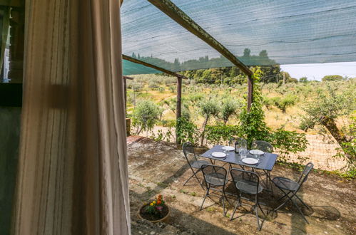 Foto 43 - Casa de 3 habitaciones en Laterina Pergine Valdarno con piscina privada y jardín