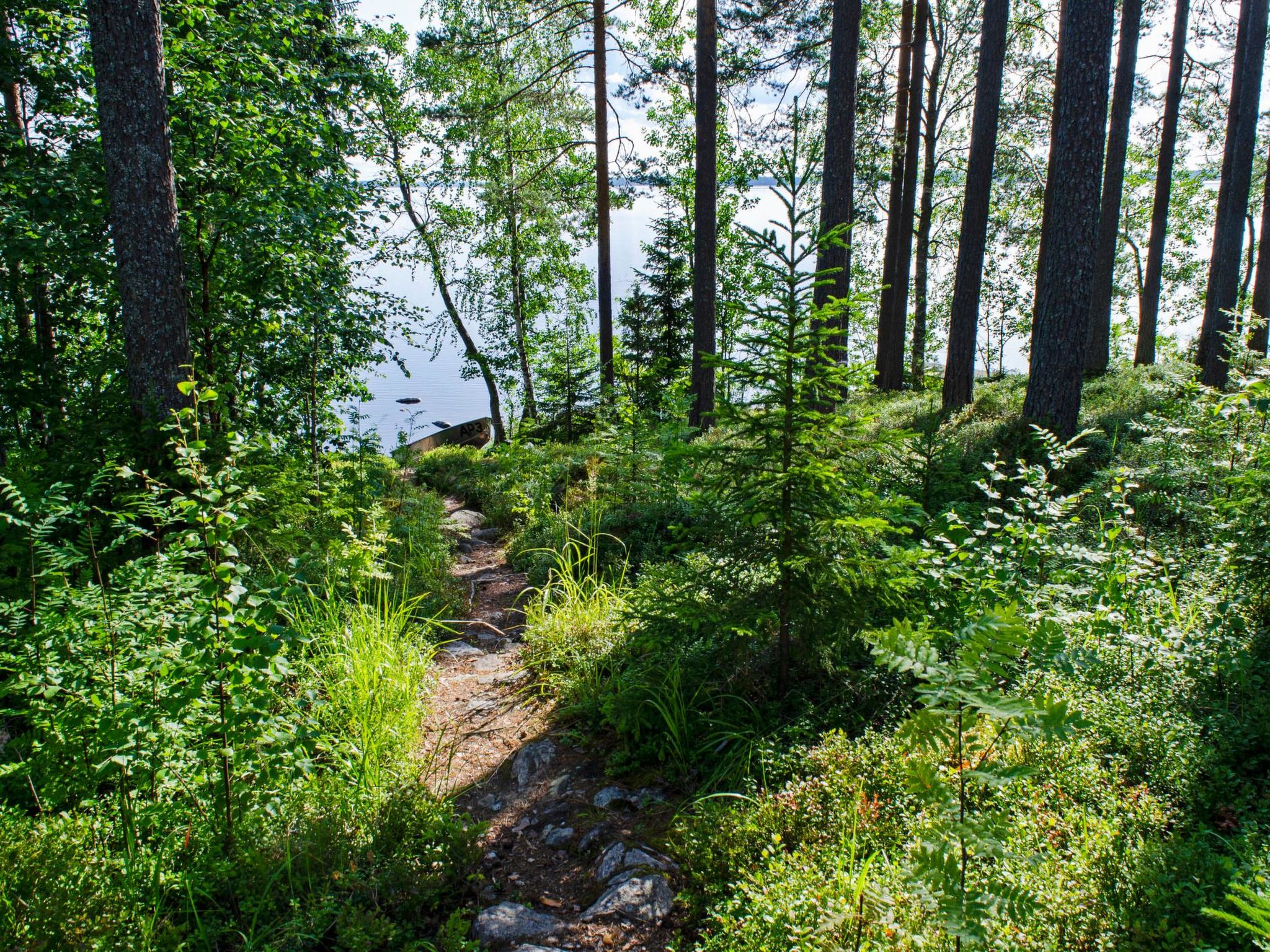 Photo 27 - 3 bedroom House in Lieksa with sauna